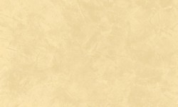 Decorazza STUCCO VENEZIANO / Цвет #SV  10-57
